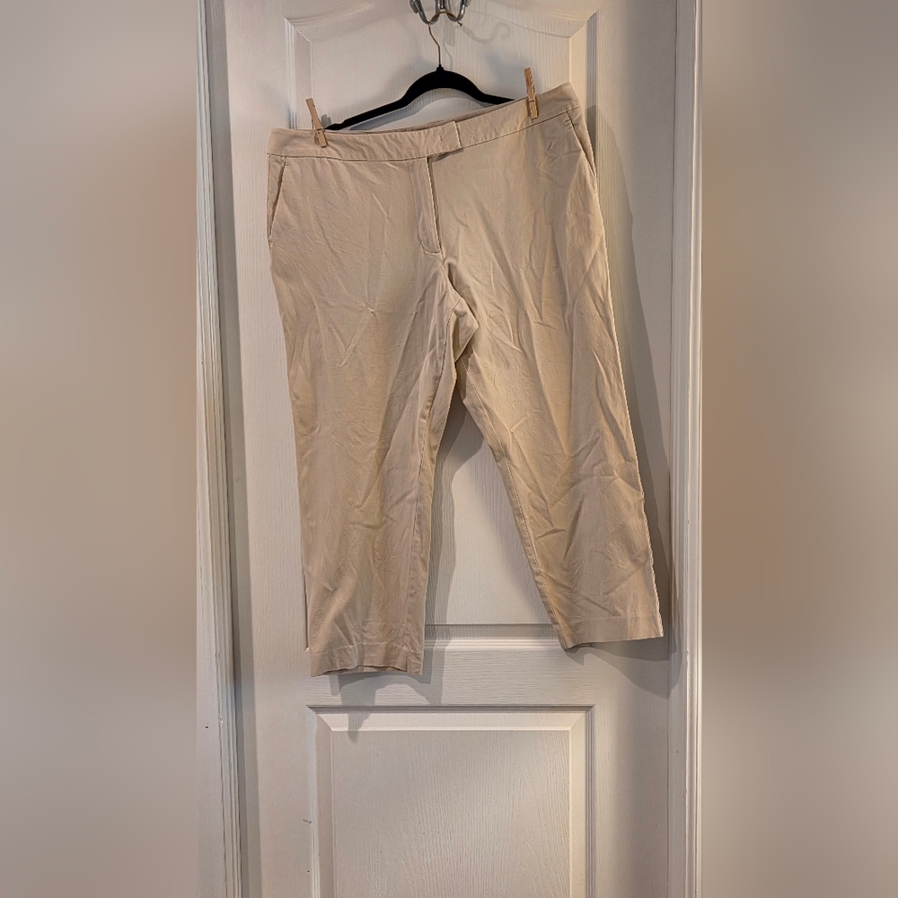 Ann Taylor Men's Tan Chinos
